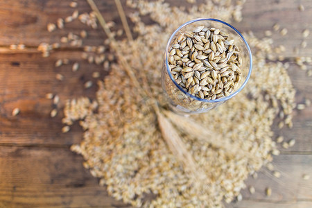 小麦麦穗摄影照片_啤酒杯、小麦和麦芽 — 顶视图