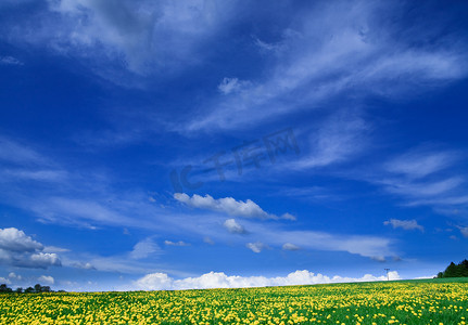 春天的风景——绿色的田野，蓝天