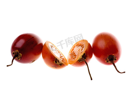 西红柿树摄影照片_孤立的番茄宏
