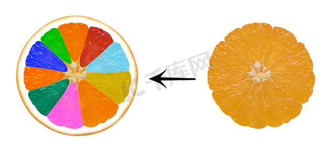 白色背景上的信息图表转基因橙子