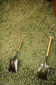 金铲摄影照片_干紫花苜蓿、马粮、粮仓、谷仓中的两把铲子。