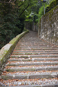 童话城摄影照片_贝加莫树林中的旧楼梯