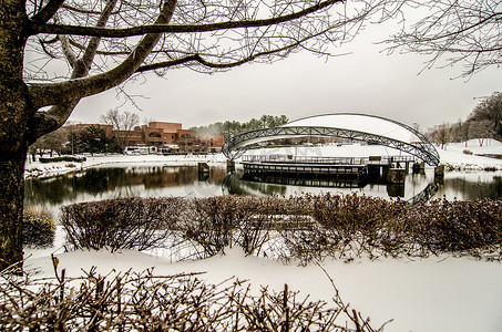 北卡罗来纳州夏洛特交响乐公园的雪景