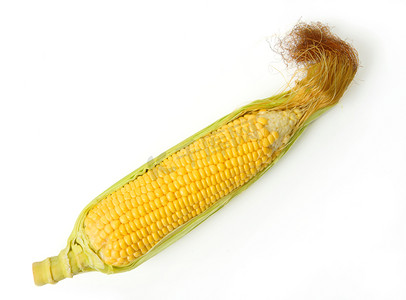孤立的新鲜玉米
