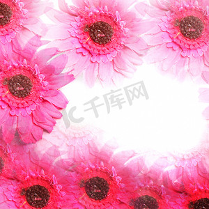 视口摄影照片_五颜六色的粉红色花边框五颜六色的花