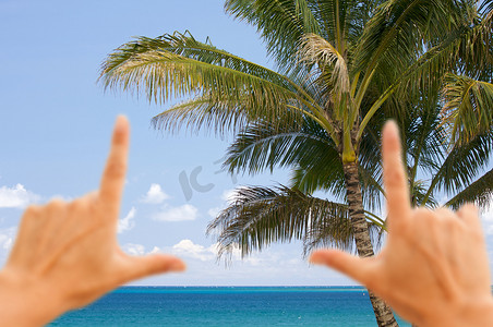 风景框摄影照片_手框棕榈树和热带水域