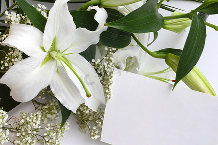 白百合鲜花和明信片