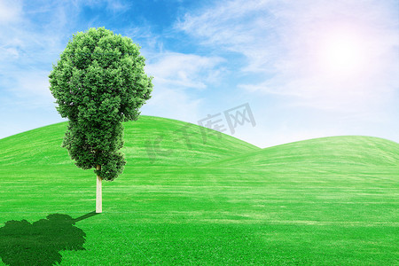 绿草山丘和树与太阳和 sk