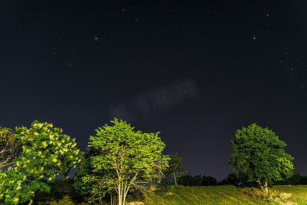 开封夜景摄影照片_星空下的夜景树