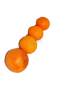 美味多汁摄影照片_三个橙子和葡萄柚