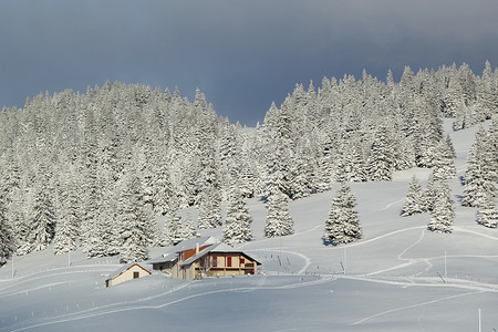 冬天的房子和冷杉树，瑞士汝拉山