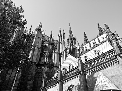 科隆大教堂摄影照片_科隆大教堂