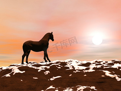 遇见太阳的马 — 3D 渲染