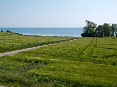 春夏绿野海背景