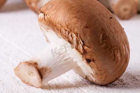 新鲜的棕色波多贝罗或落叶松蘑菇