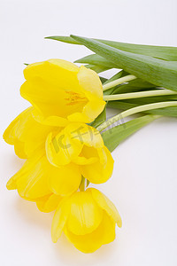 五颜六色的黄色和绿色春天复活节彩蛋