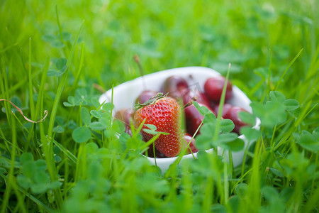 绿草上陶瓷碗里的樱桃和草莓
