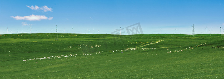 夏季新品立体字摄影照片_内蒙古辉腾席勒草原羊群夏季牧场