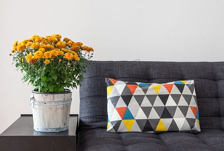 沙发上的橙色菊花和明亮的靠垫