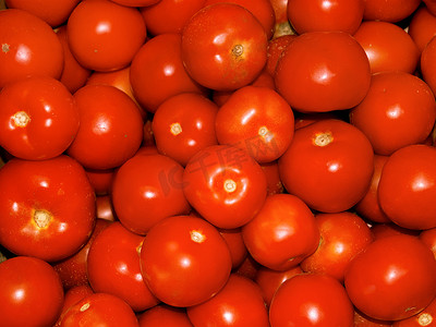 许多成熟的红番茄