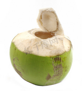 孤立的椰子