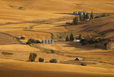 美国华盛顿州惠特曼县夏末的小农场和收割的田地