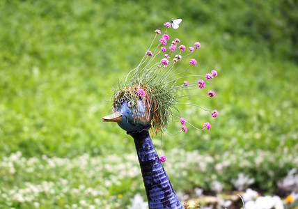 花鸟植物摄影照片_花鸟雕塑