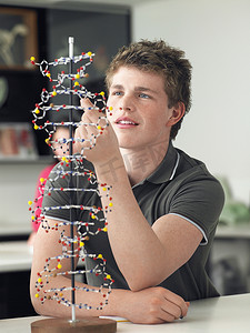 十几岁的男孩在科学课上检查 DNA 模型