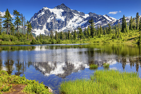 峰图片摄影照片_图片 Lake Evergreens Mount Shuksan Washington USA