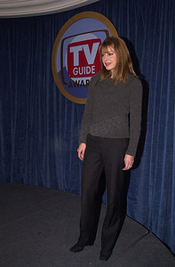 2000 年电视指南奖提名