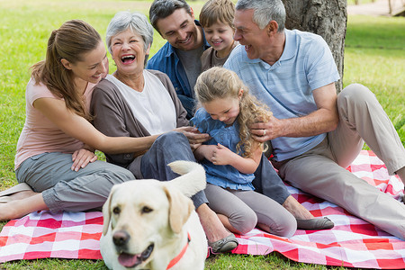 欢快的大家庭坐在公园的野餐毯上