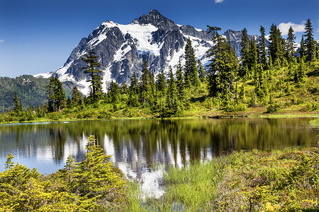 图片 Lake Evergreens Mount Shuksan Washington USA