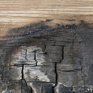 木头摄影照片_烧过的木头