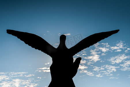 两只鸽子翅膀从手形剪影中释放到蓝天