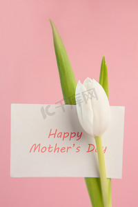 美丽的白色郁金香和一张快乐的母亲节贺卡