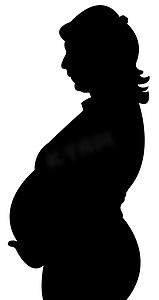 矢量健康生活摄影照片_一名孕妇的剪影，矢量图