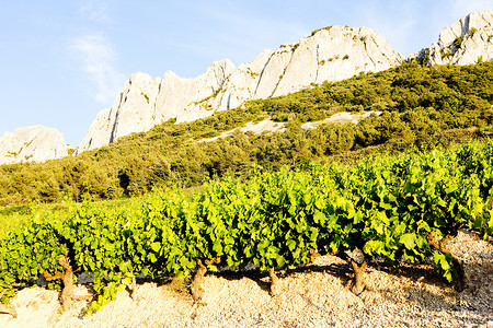 法国风景摄影照片_法国普罗旺斯 Col Du Cayron 的 Gigondas 附近的葡萄园