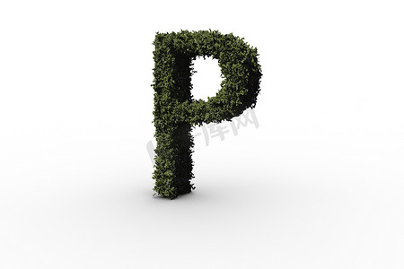 由树叶制成的大写字母 p