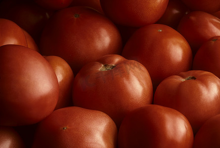 堆满框架的成熟红色蕃茄