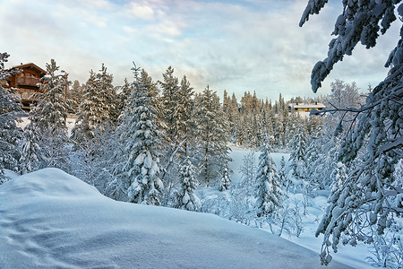 白雪皑皑的冬季森林中的小屋