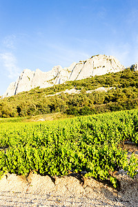法国普罗旺斯 Col Du Cayron 的 Gigondas 附近的葡萄园