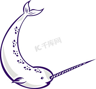 独角鲸 Monodon monoceros 独角鲸