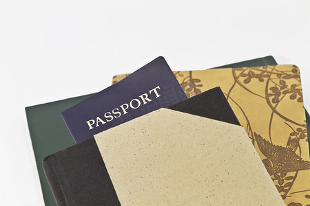 护照和期刊
