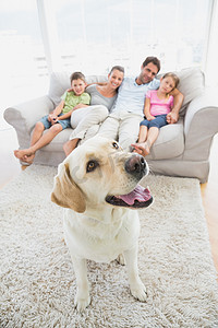 幸福的家庭坐在沙发上，他们的宠物黄色拉布拉多犬在地毯上
