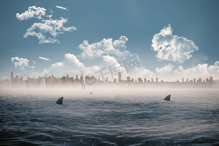 鲨鱼出没海域地平线上的城市景观