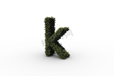 由树叶制成的小写字母 k