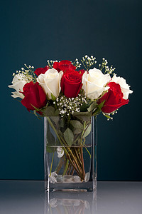花瓶里的红白玫瑰