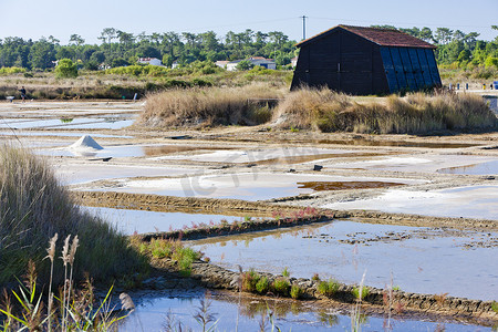 盐场摄影照片_盐场, Port des Salines, Oleron Island, Poitou-Charentes, Franc