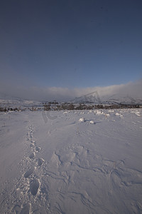 一个多雪的冬天早晨平原-乡村雪户外场景 fr