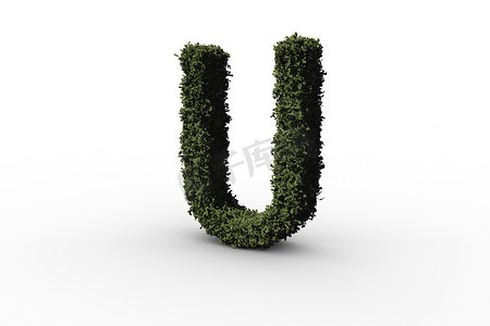 用树叶做成的大写字母 u